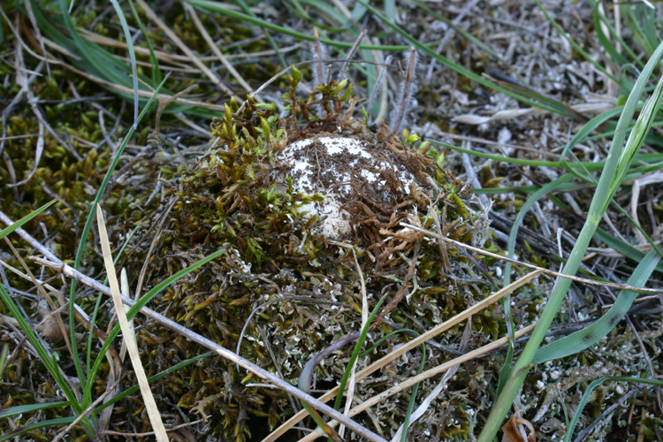 Aiutatemi ad uscire chiamandomi per nome